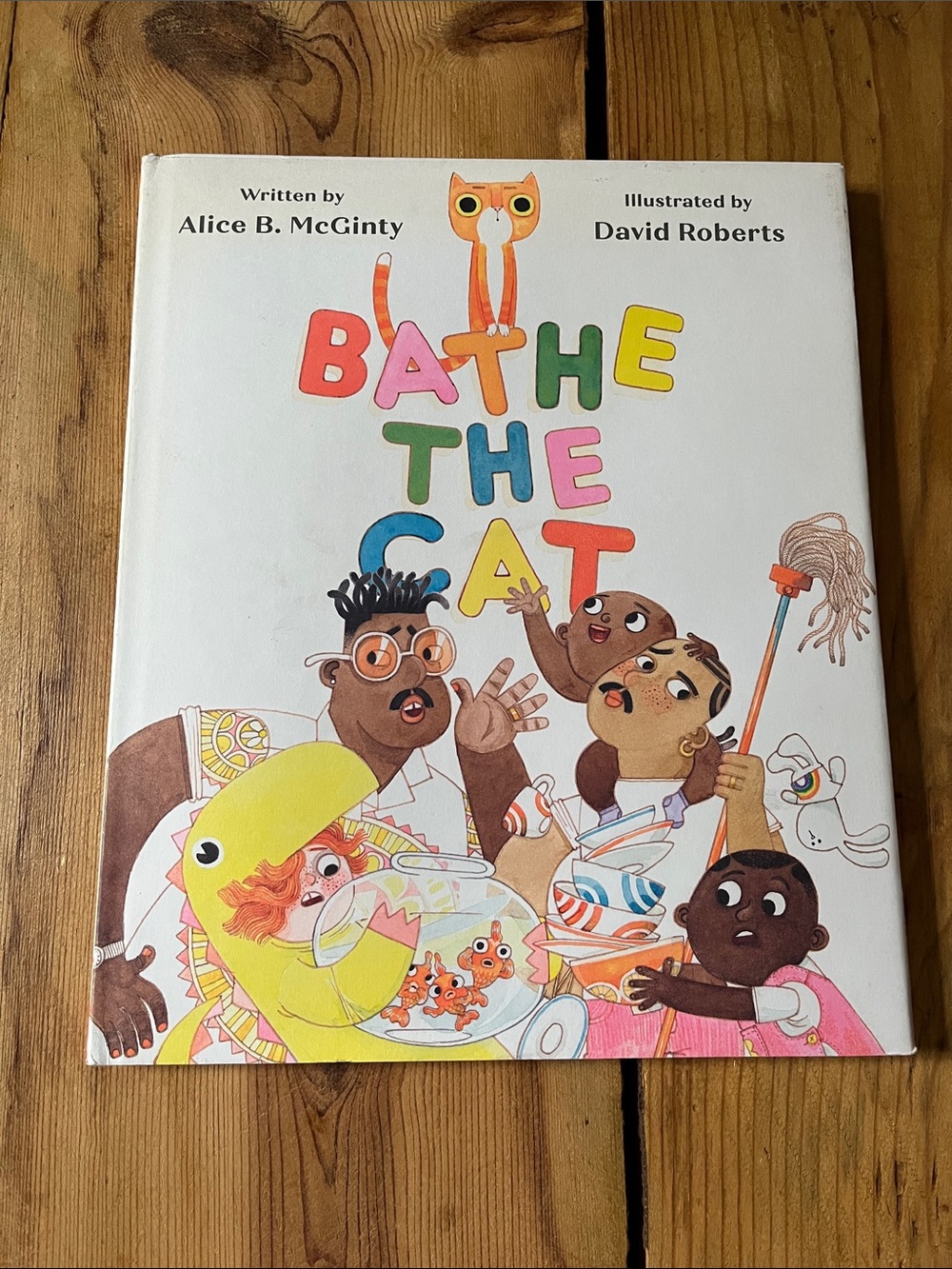 "Bathe The Cat" HC Book Retro Illustrations by Alice B. McGinty